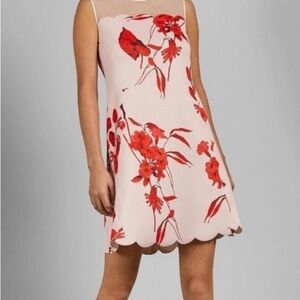 Ted Baker London Pink Mini Dress with Red Floral Print